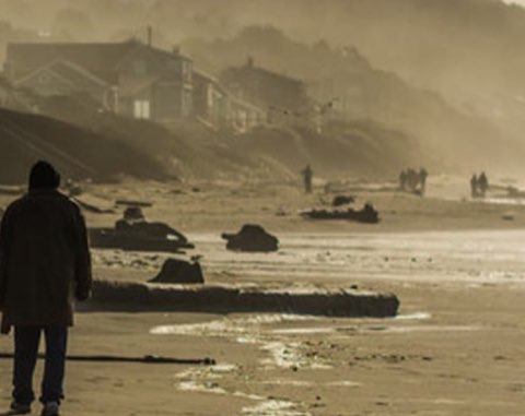 Misty beach with a person standing in the foreground